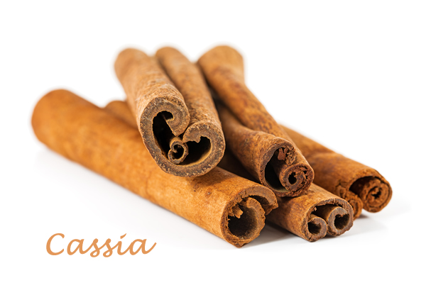 cassia