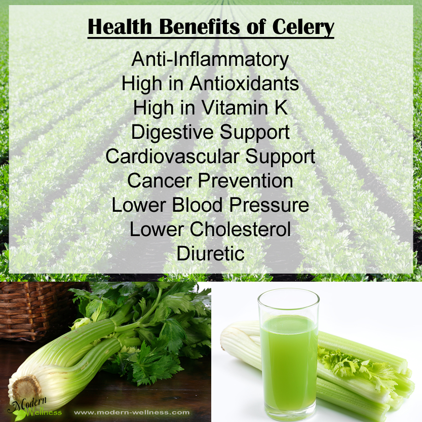 Health Benefits of Celery