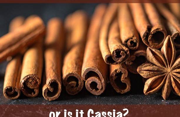 Is it Cinnamon or is it Cassia?