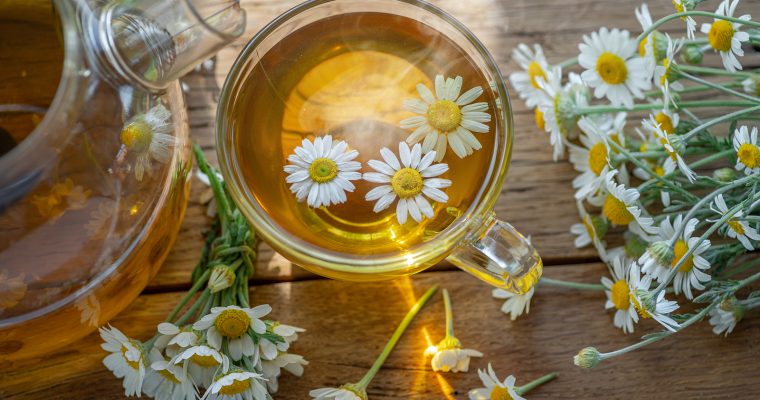 Chamomile