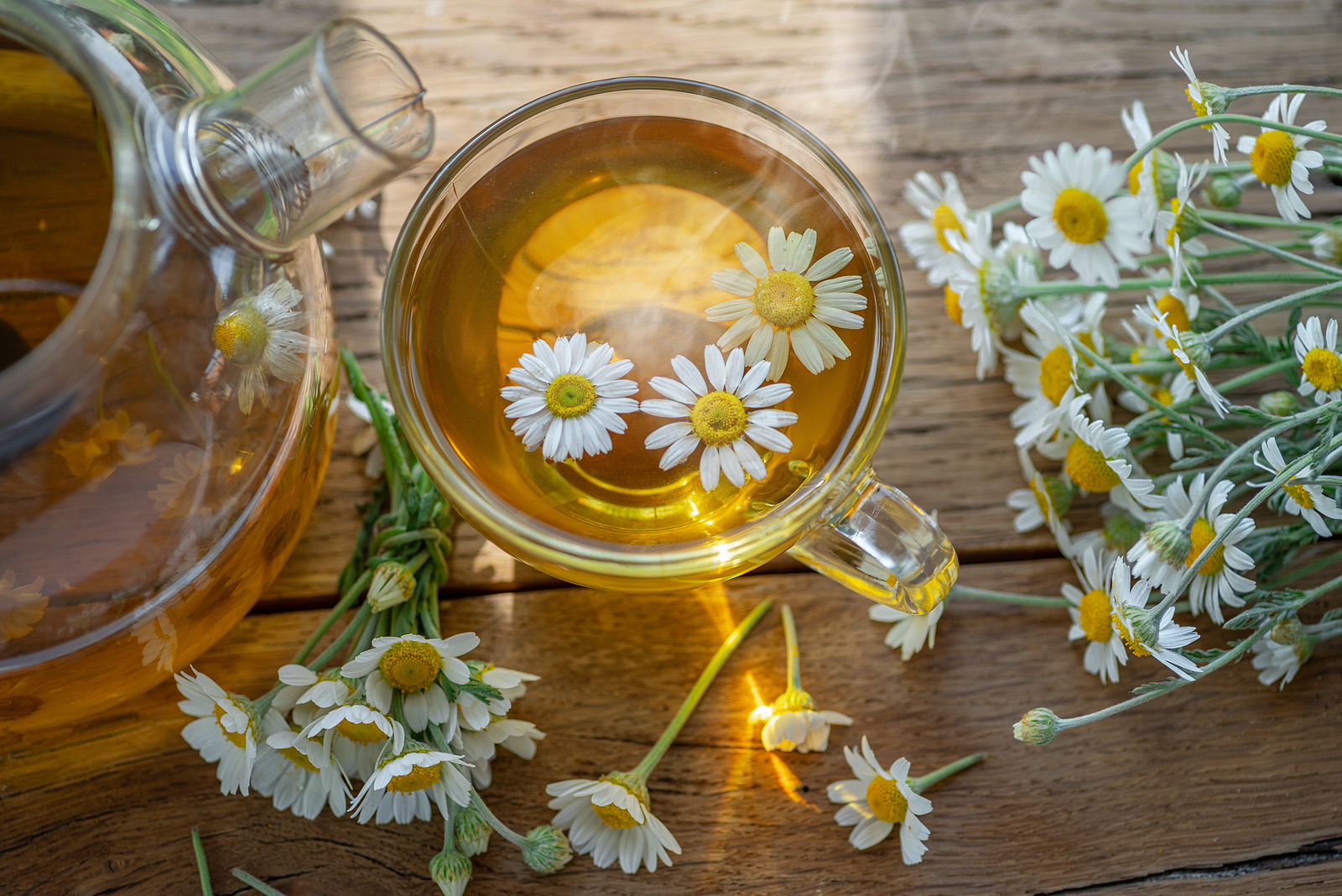 Chamomile